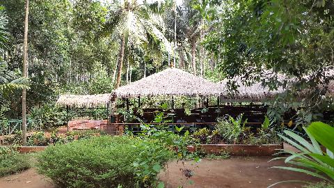 Sahakari Spice Farm - Download Goa Photos