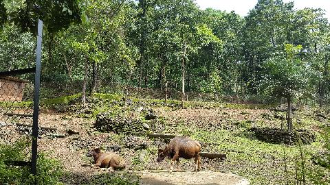 Bondle Wildlife Santuary - Download Goa Photos