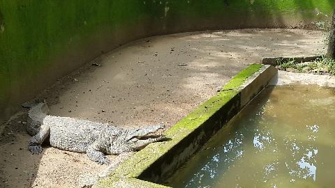 Bondle Wildlife Santuary - Download Goa Photos