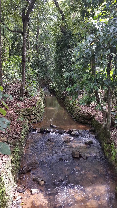 Bondle Wildlife Santuary - Download Goa Photos