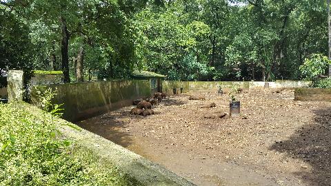 Bondle Wildlife Santuary - Download Goa Photos