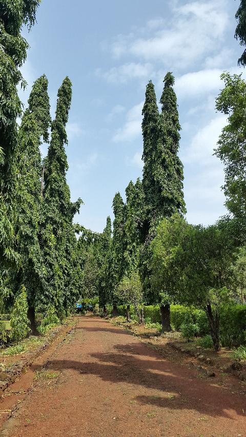 Bondle Wildlife Santuary - Download Goa Photos