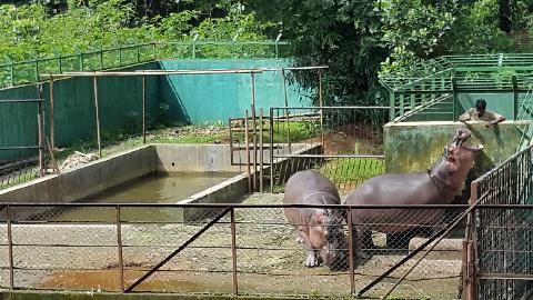 Bondle Wildlife Santuary - Download Goa Photos