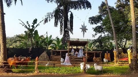 Christmas in Goa - Download Goa Photos