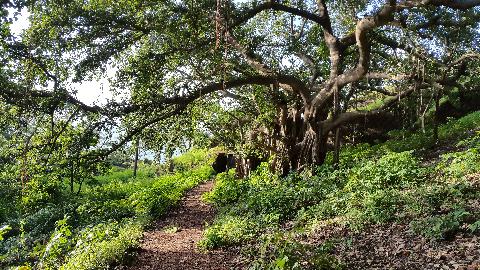 Cabo de Rama - Download Goa Photos