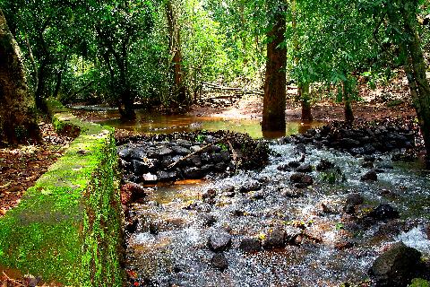 Bondle Wildlife Santuary - Download Goa Photos