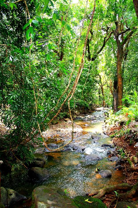 Bondle Wildlife Santuary - Download Goa Photos