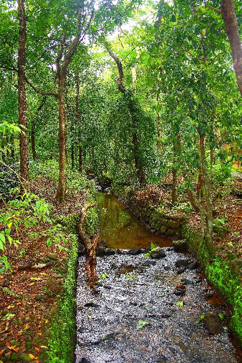 Bondle Wildlife Santuary - Download Goa Photos