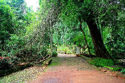 Bondle Wildlife Santuary - Download Goa Photos