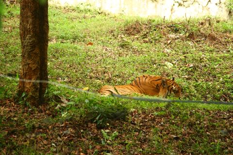 Bondle Wildlife Santuary - Download Goa Photos