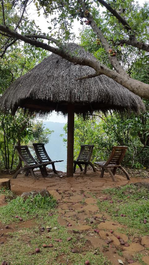 Wildernest Nature Resort - Download Goa Photos