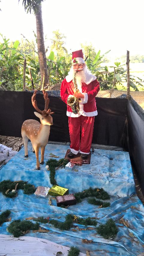 Christmas in Goa - Download Goa Photos